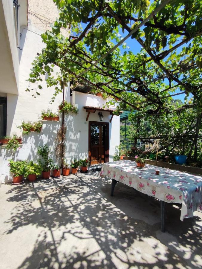 Eden Tra I Limoni Lägenhet Minori Exteriör bild