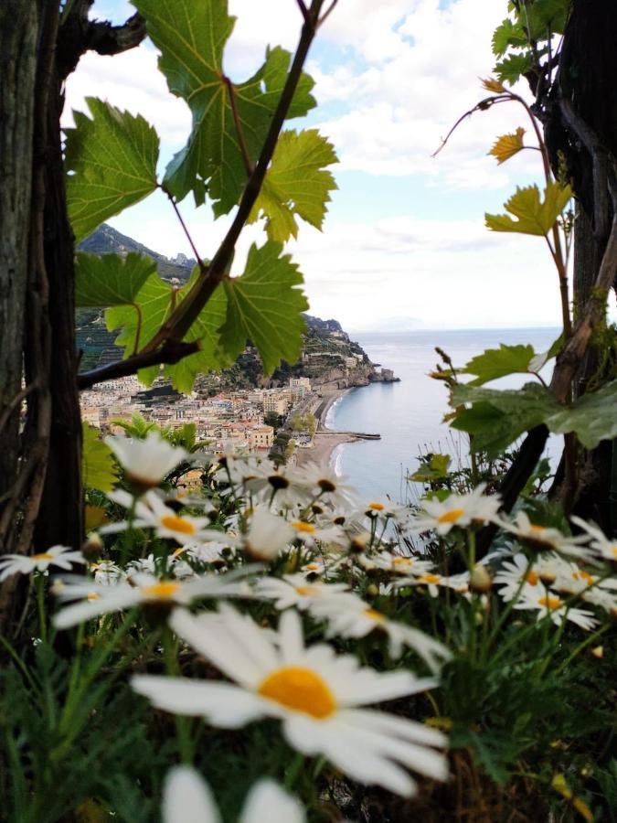 Eden Tra I Limoni Lägenhet Minori Exteriör bild